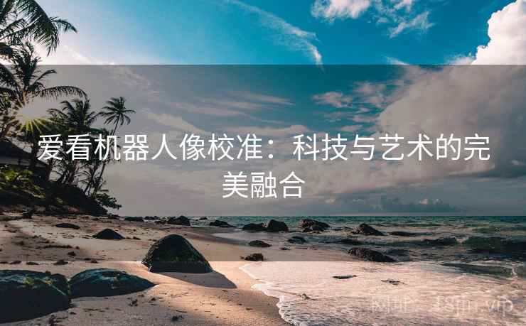 爱看机器人像校准：科技与艺术的完美融合