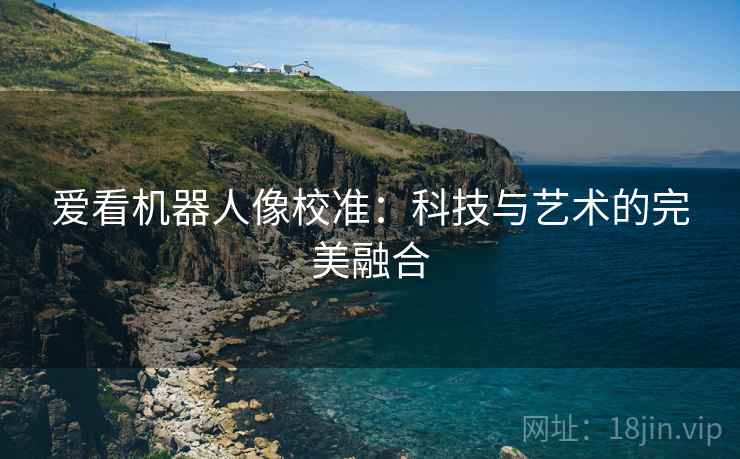 爱看机器人像校准:科技与艺术的完美融合