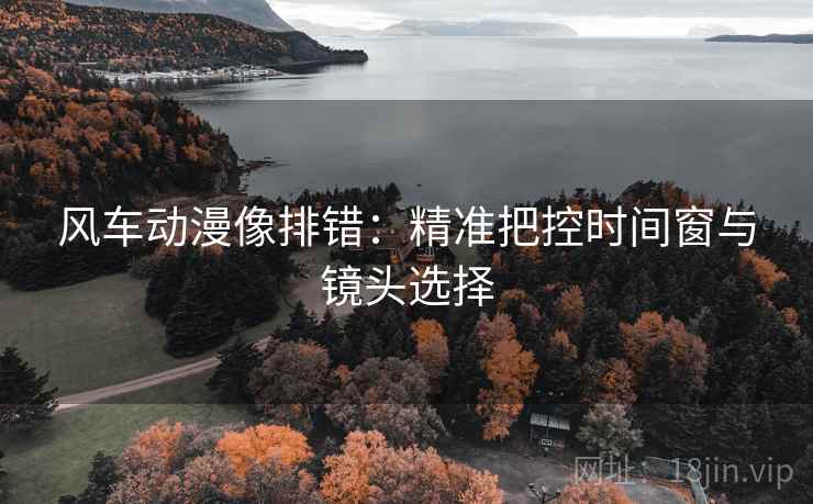 风车动漫像排错：精准把控时间窗与镜头选择