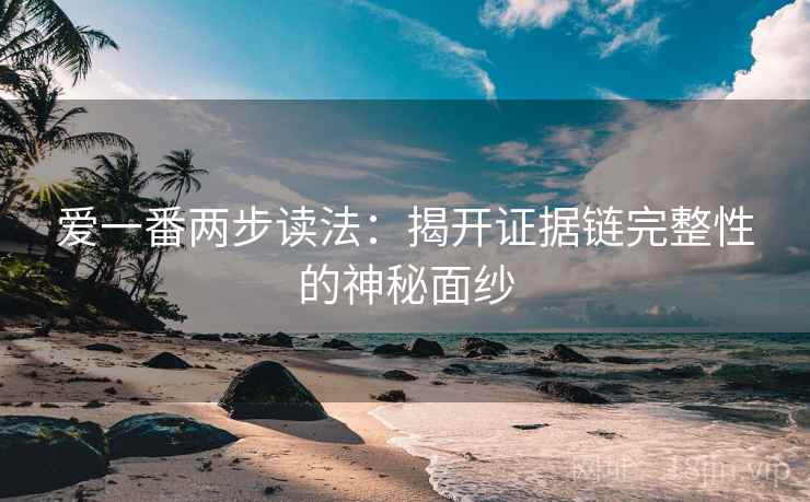 爱一番两步读法：揭开证据链完整性的神秘面纱